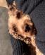 Bilde av 